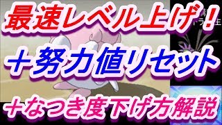 ウルトラサンムーン初心者講座 最速レベル上げ 努力値リセット なつき度の下げ方 解説 ポケモンusum Youtube