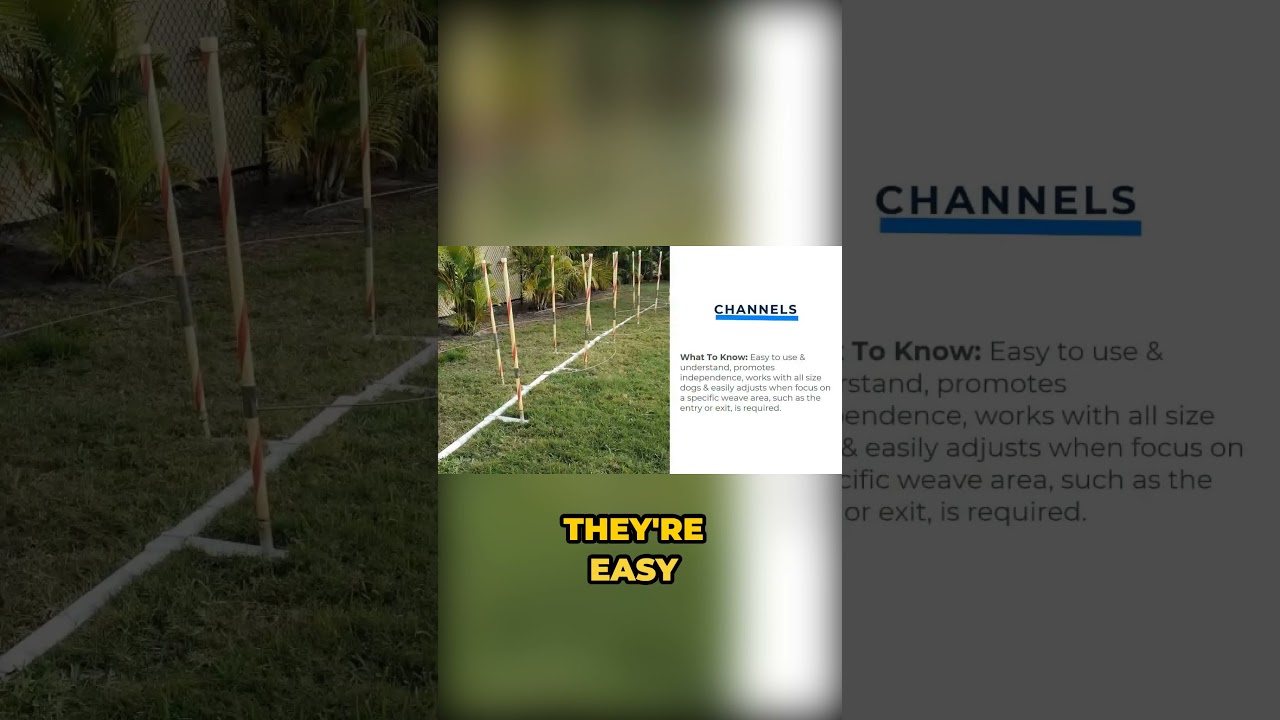 Mastering Weave Pole Training Methods  | Weave Pole Training | Dog Agility 