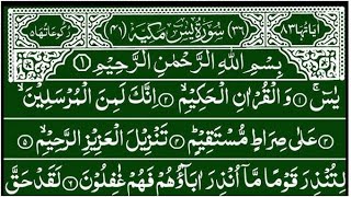 Surah Yaseen Beautiful Voice Surah Rahman Wazifa | Ep 1136 | beautiful quran recitation | tilawat 