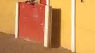 Que Viene La Vaquilla