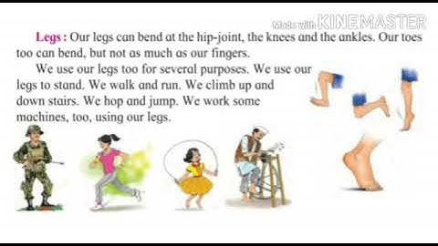 Std : 3. Sub : E.V.S (Science) Ls. no 15 Our  Body  ( Part- 3)