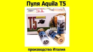 Пуля Aquila T5