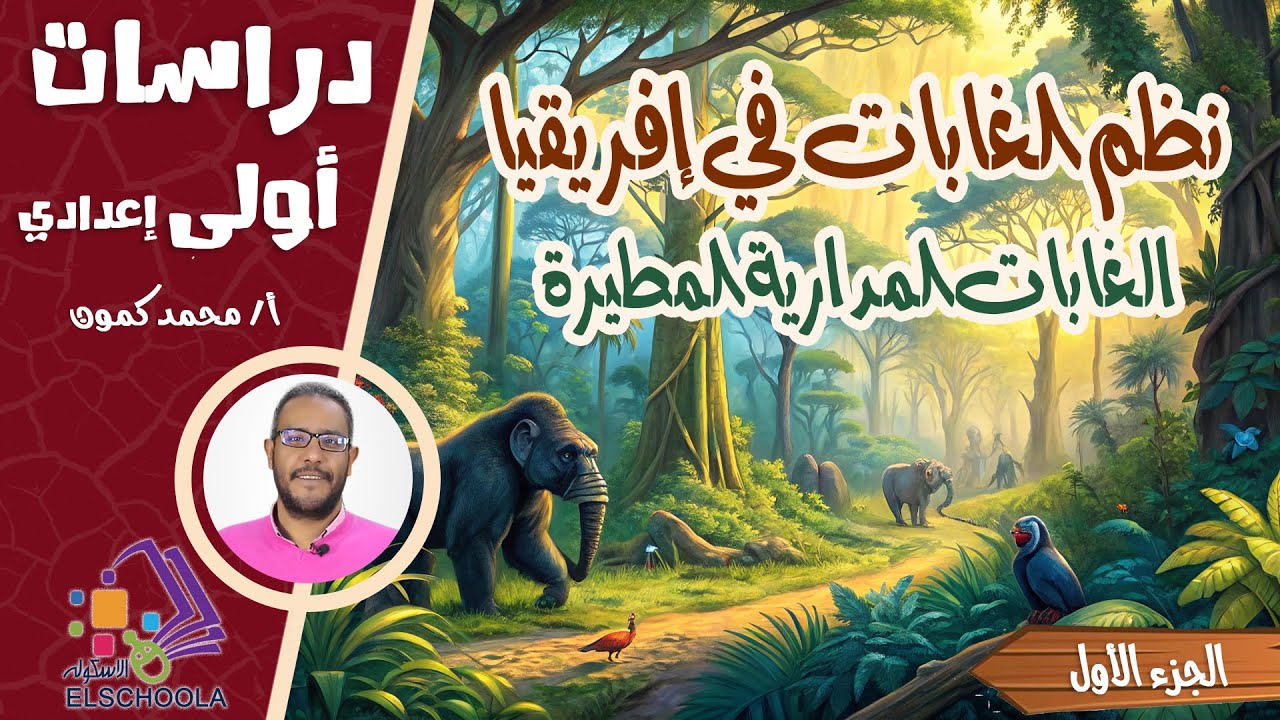 اكتشف سر الغابات المطيرة في إفريقيا | دراسات اجتماعية أولى إعدادي | المنهج الجديد 2026