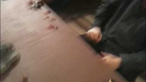 SPC Presents How to Play Warmachine: (1)  What is Needed