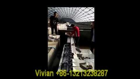 Abalone/Scallop/Oyster Weight Sorting Machine from Vivian +86 13213238287