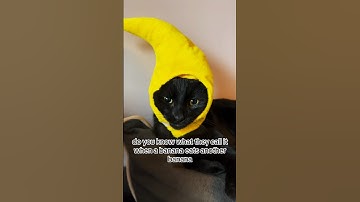 Riddle of the day #jokes #riddles