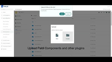 Paldi Solutions - How To Install Paldi Plugin