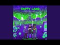 Trippy land