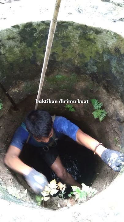 Beradaptasilah II hidup ini KERAS kawan #storywa #nature #shorts