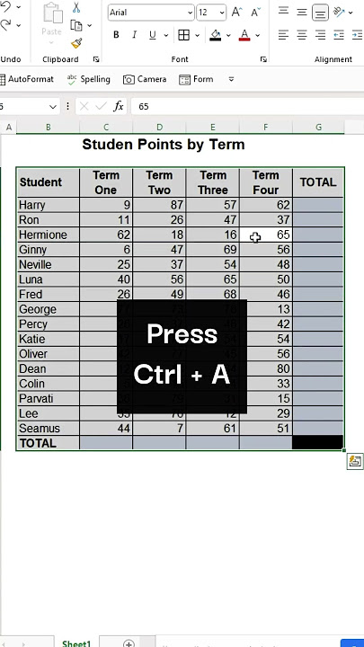Auto-sum shortcut in Excel