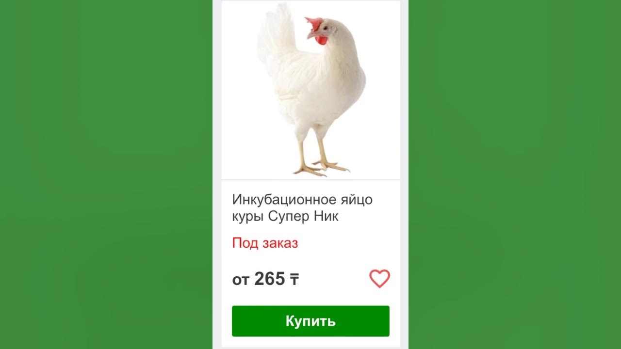 1080 ШТ СУПЕР НЕСУШКА ЖҰМРТҚАСЫ ТАРАЗҒА - YouTube