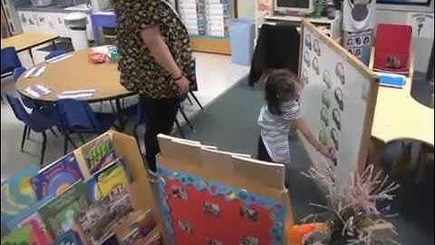 Schedules and Routines