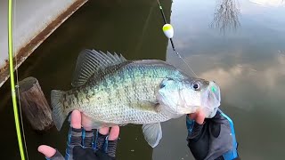 CRAPPIE Fishing With JIG & BOBBER From The BANK‼ CRAZY Double Jig Rig Action