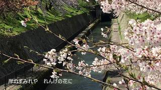 春の小川 / HARUNO-OGAWA (Spring stream - Japanese old song) - YouTube