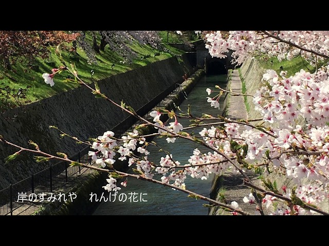 春の小川 春の小川 / HARUNO-OGAWA (Spring stream - Japanese old song) - YouTube