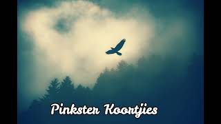 Video thumbnail of "Pinkster Koortjies-Hy soo Wonderbaar vir My"