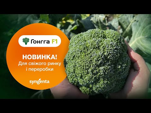 Броколі 🥦Гонгга — ідеальний гібрид для свіжого ринку та переробки!