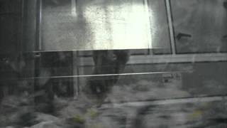 Documents Destruction - Distruzione Documenti