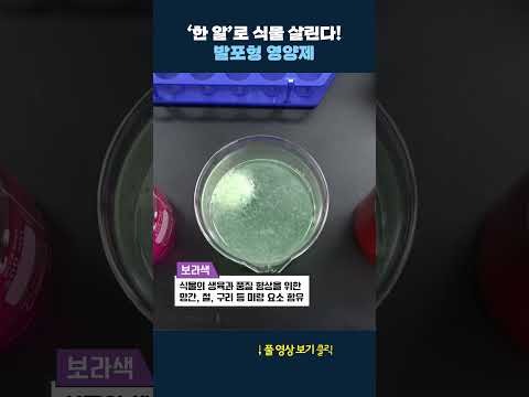 식물 살리는 영양제 #shrots