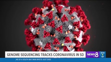 Scripps Research Uses Genome Sequencing to Track COVID-19 – on CBS 8