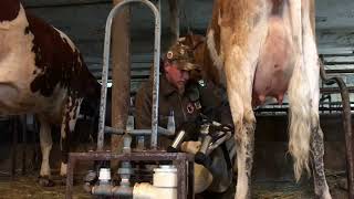 Milking With A Mobile Vacuum Pump