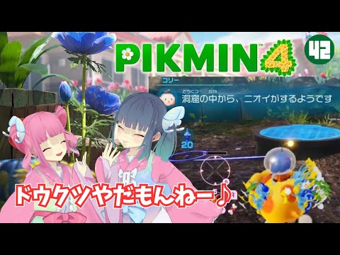 【ピクミン４】#42 花ふぶきの楽園にてきっちりフラグ回収して洞窟へと旅立ちます【PIKMIN4】