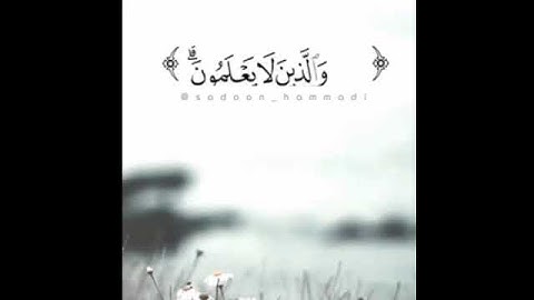 تلاوة جميلة للشيخ سعدون حمادي