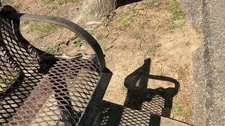 Long snake on park bench! by TheSuperPunk 134 views 2 weeks ago 1 minute, 1 second