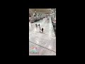 احمد الشقيري وتربية الاولاد كلام مهم جدا 