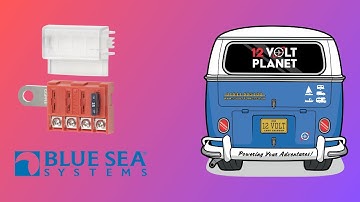 Blue Sea Systems Battery Terminal Mount Fuse Block | 12 Volt Planet