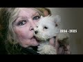 Brigitte Bardot: The rise and legacy of a French icon