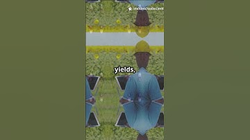 Soil and crop interaction analysis for yield prediction with satellite imagery #soil #researchers