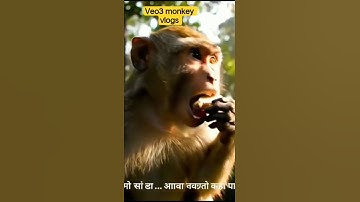monkey vlogs jungle#shotrs #shortsviral #shorts #monkeyvlog #trending#veo3
