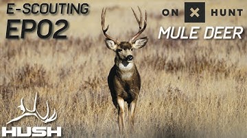 HOW TO E-SCOUT FOR MULE DEER WITH ONXHUNT