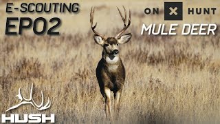 HOW TO ESCOUT FOR MULE DEER WITH ONXHUNT