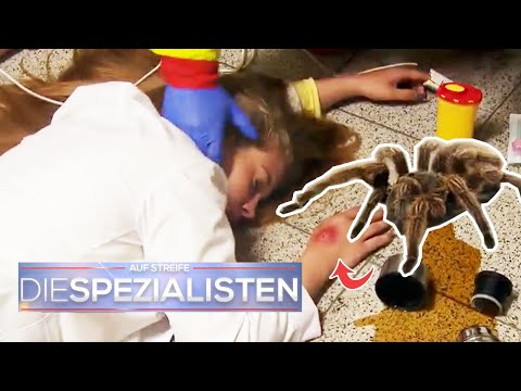 Video: 3 Möglichkeiten, die Angst vor dem Verlust eines geliebten Menschen zu überwinden