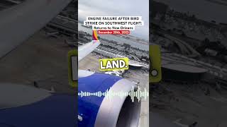 ENGINE FAILURE AFTER BIRD STRIKE ON SOUTHWEST FLIGHT: Returns to New Orleans shorts aviation