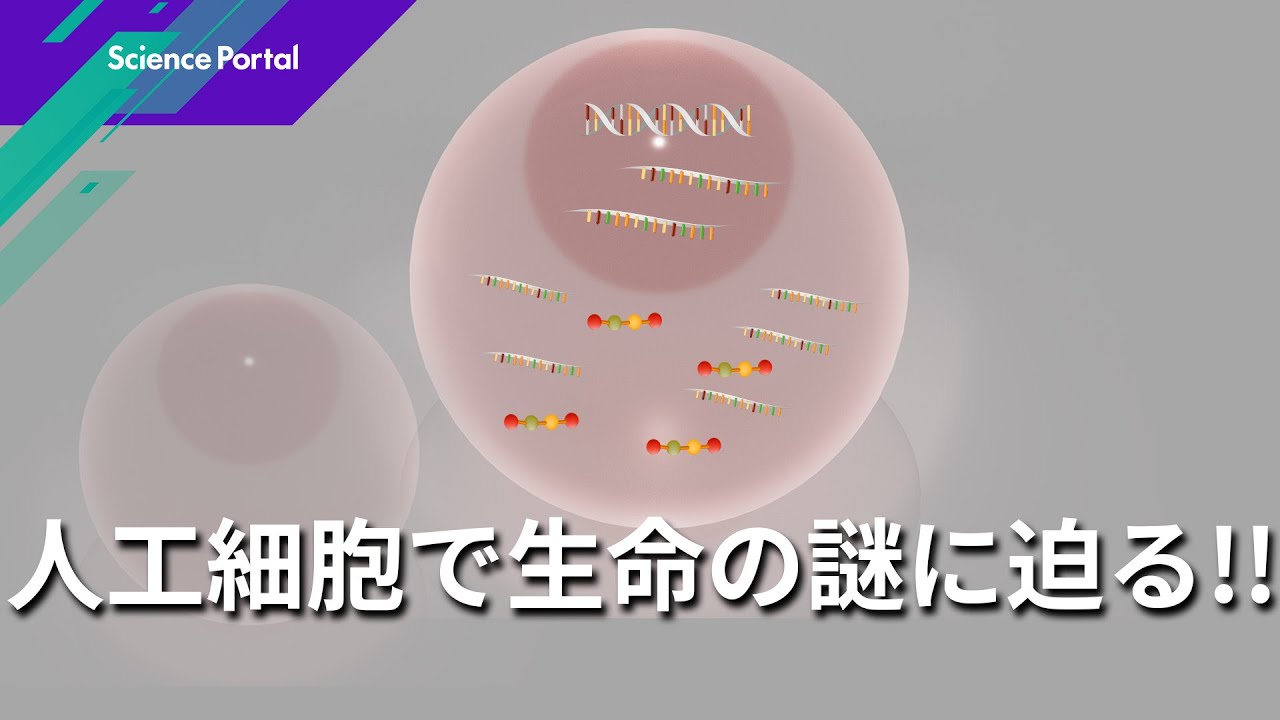 人工細胞の可能性 生命システムを再現する | Science Portal - 科学