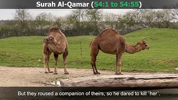 Surah Al-Qamar Full | English | Urdu | Hindi Audio Translation | سورة القمر