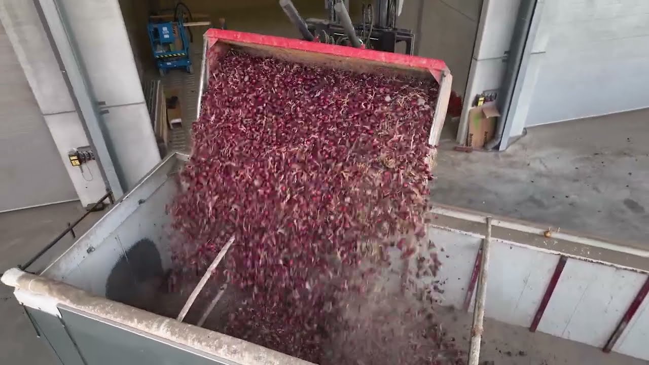 Bewaarschuur van de toekomst; fossielvrij in de akkerbouw AgroFossilFree