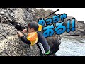 三重県遠征!海の生き物全部とってみたら大騒ぎ・・・