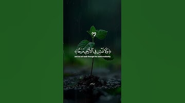 القرآن الكريم # قرآن#تلاوة_خاشعة #اكسبلور