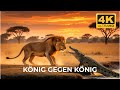 Löwen, Krokodile & Elefanten 4K | Kämpfe ums Überleben in Kenia #Kenia | Natur & Ruhe 4K