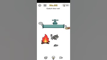 Brain Out Level 92 / Catch the rat!