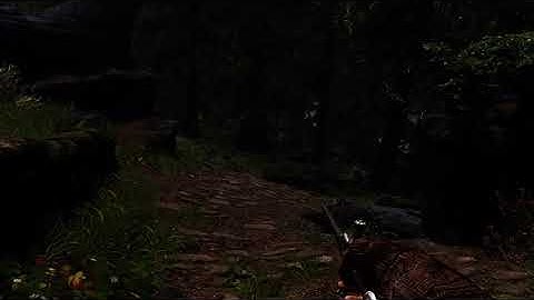 1st Person Dagger Stab with DAR