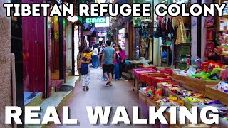 Ultimate 4K Walk in Tibetan Refugee Colony Majnu Ka Tila, Delhi India