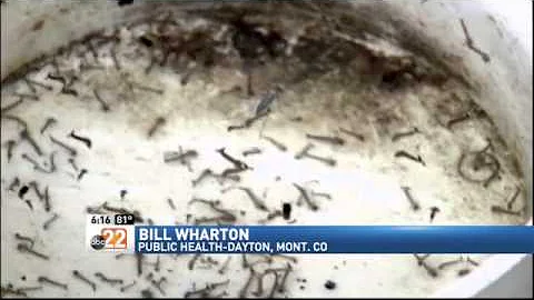 Mosquito Virus Warnings; Chikungunya Cases Spread