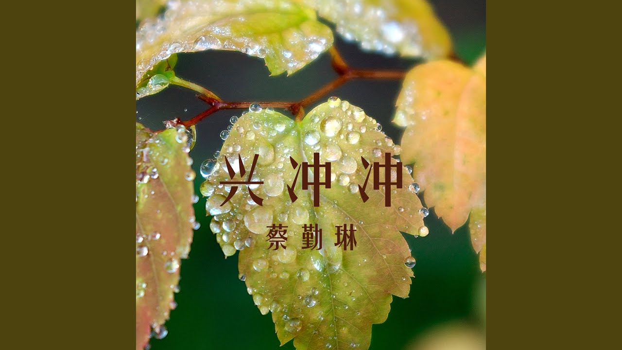 Mira 嗜好 en YouTube Mira 嗜好 en YouTube