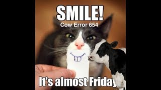 Cow Error 654