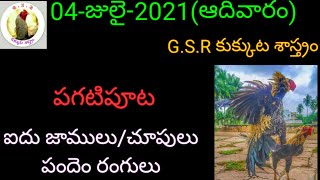 G.S.R కుక్కుట శాస్త్రం(04-జులై-2021)పగటిపూట ఐదు జాములు/చూపులు పందేం రంగులు